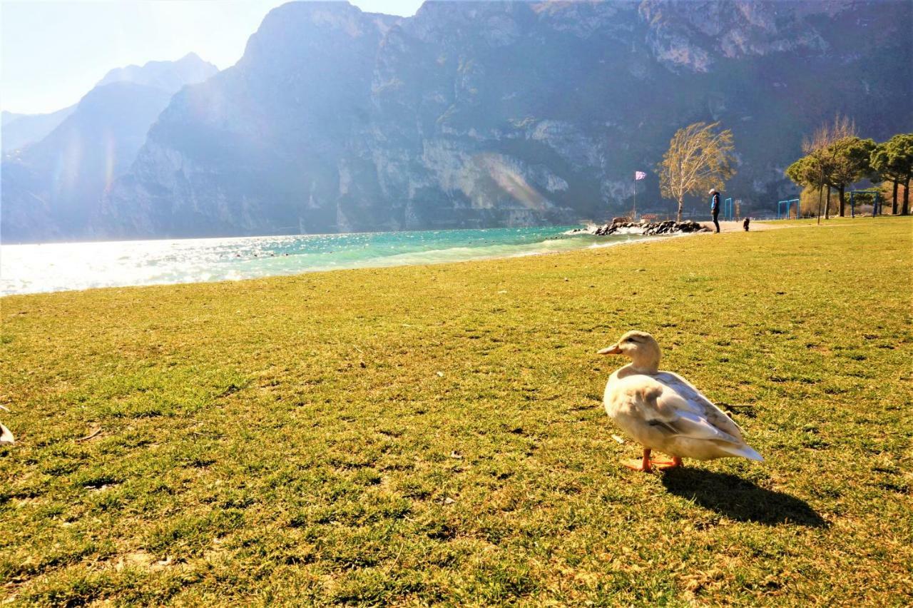 Apartment Brione Riva del Garda Ngoại thất bức ảnh