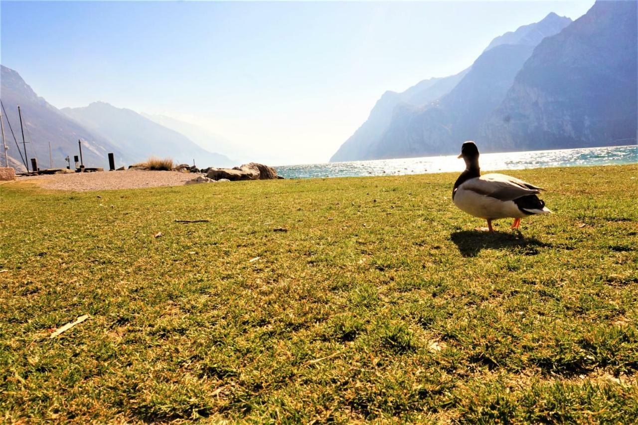 Apartment Brione Riva del Garda Ngoại thất bức ảnh